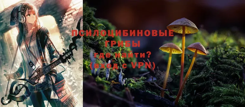 цена наркотик  Подпорожье  Псилоцибиновые грибы Psilocybe 